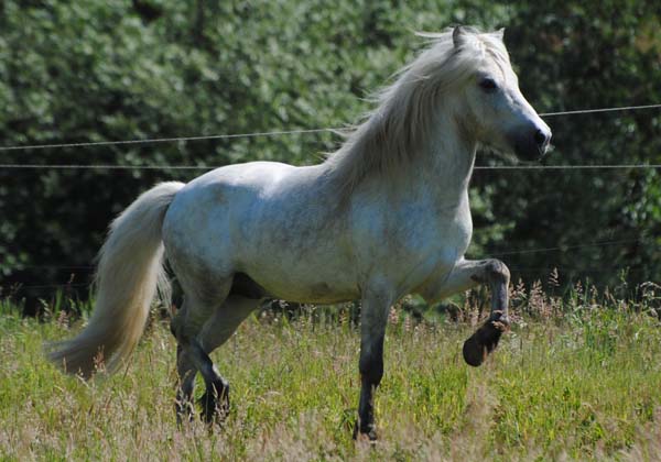 KyndillApril09-5-600x420.jpg (49312 Byte)