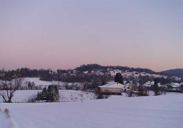 Fiskur vom Petersberg