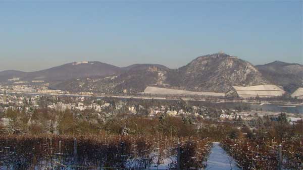 Fiskur vom Petersberg