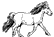 &copy; by www.der-wiesenhof.de (3377 Byte)